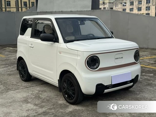 Geely Galaxy panda id 4220987 из Китая 14
