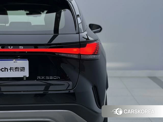 Lexus RX id 3920388 из Китая 14