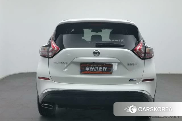 Nissan Loulan id 4210593 из Китая 14