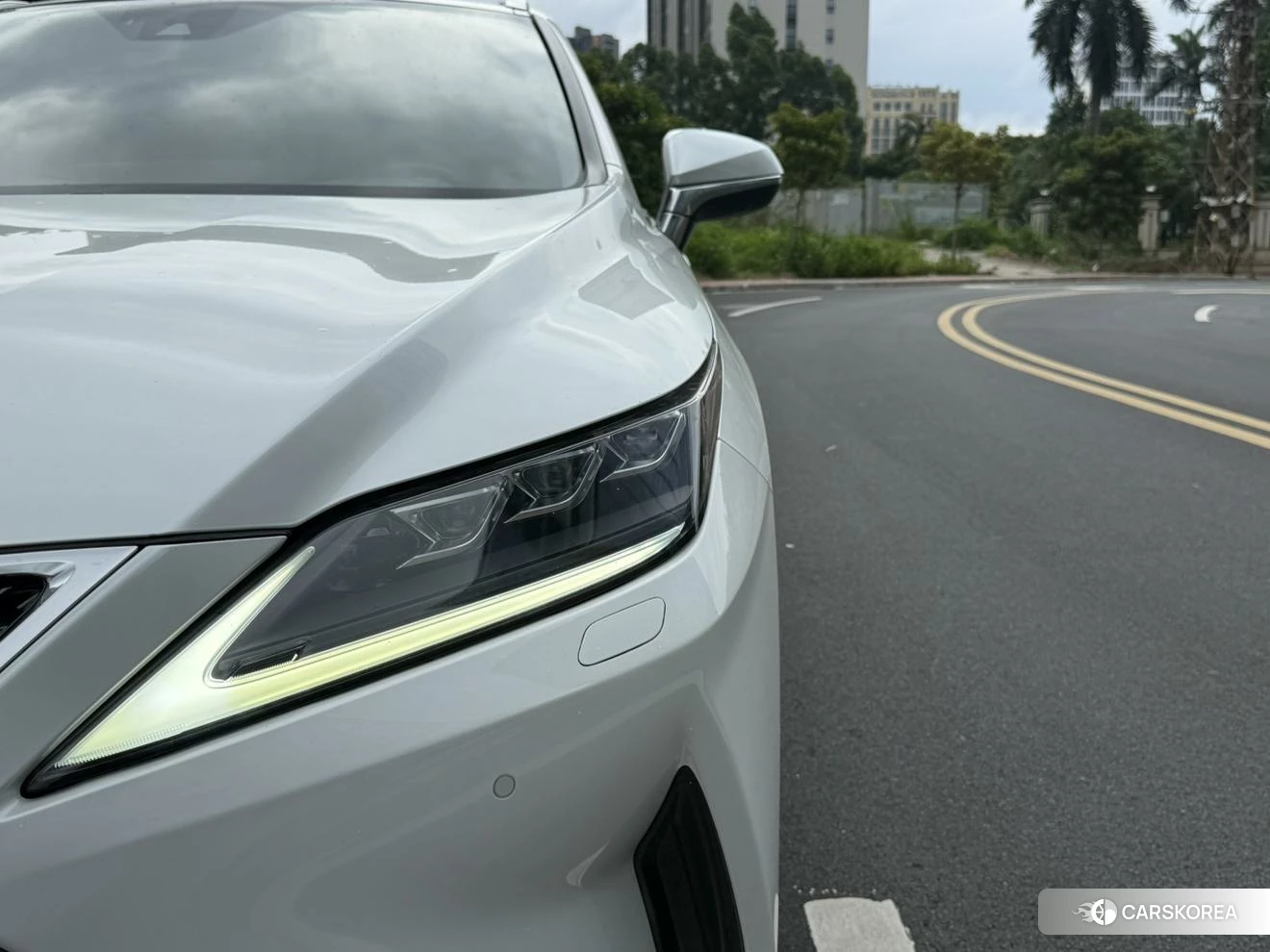 Lexus RX id 4454744 из Китая 14