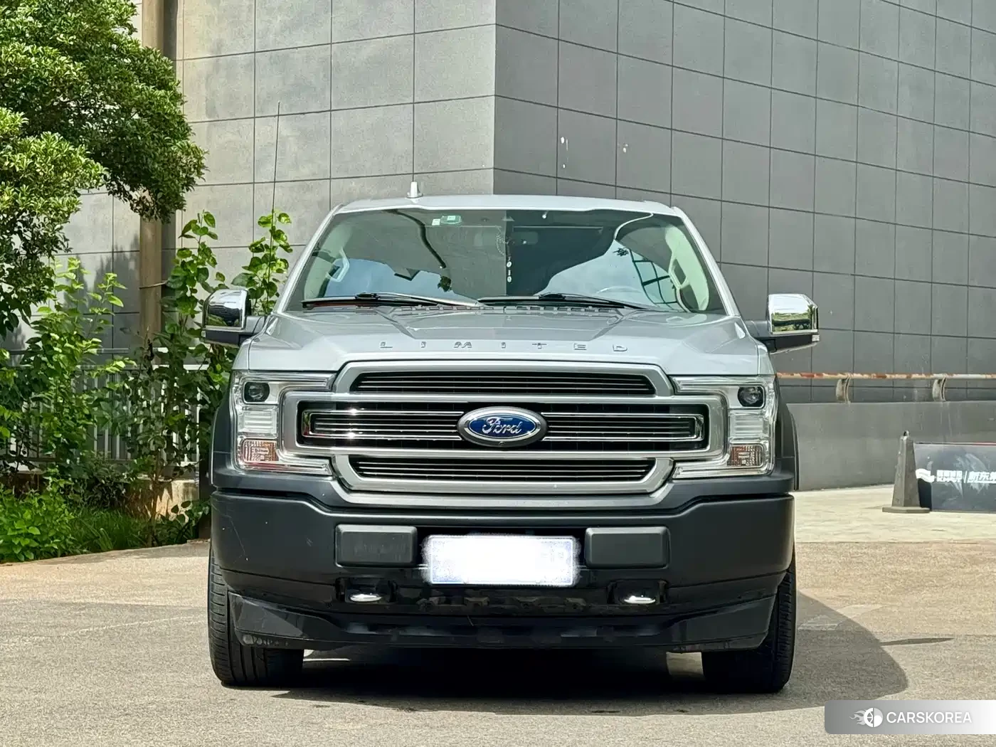 Ford F-150 Raptor id 4548319 из Китая 14