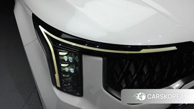 Kia The New Carnival 4th Generation id 4248568 из Кореи 14