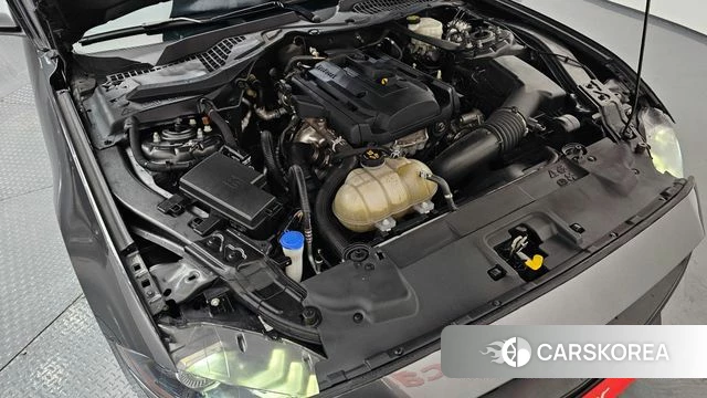 Ford Mustang id 4310347 из Кореи 14