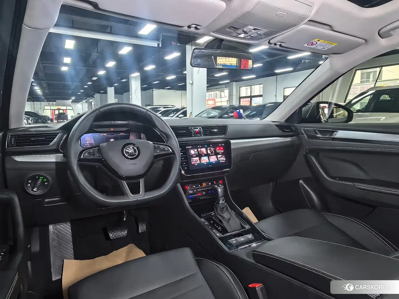 Skoda Speed pie id 4578277 из Китая 14