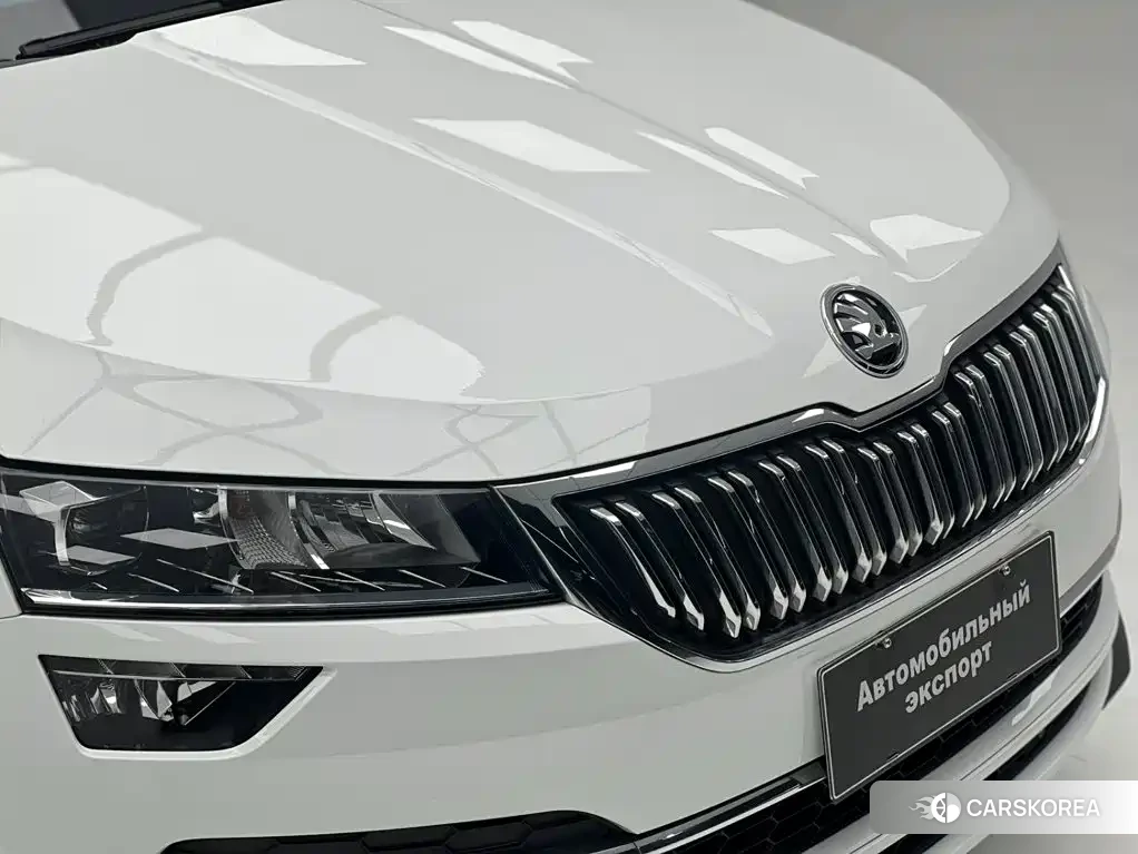 Skoda Karoq id 4680523 из Китая 14