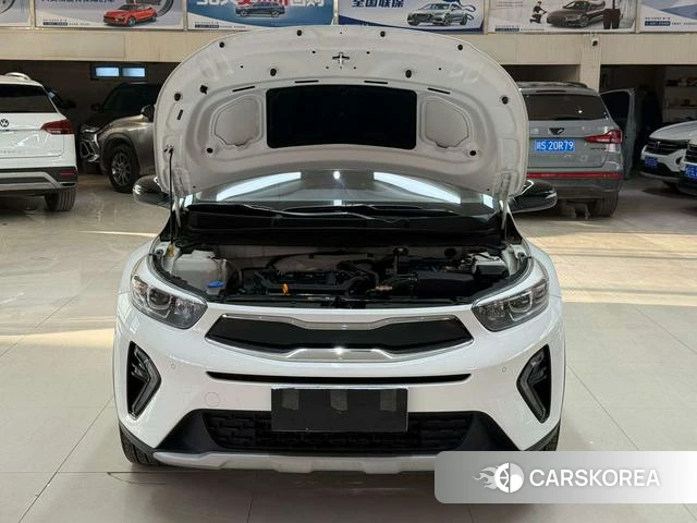 Kia Yi Ran id 4367084 из Китая 14