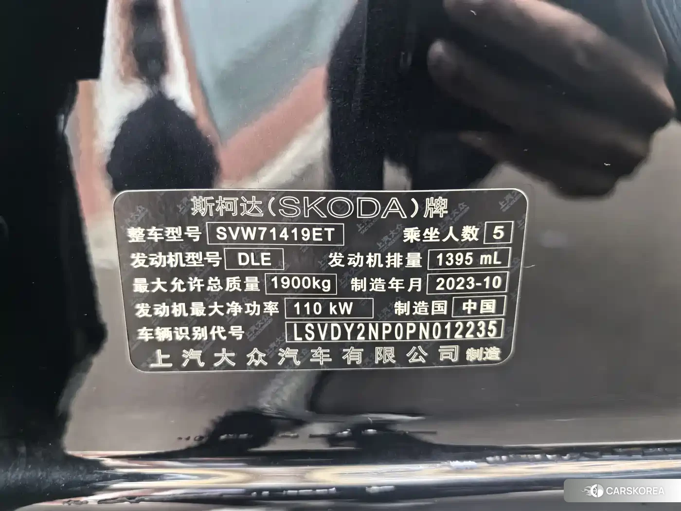 Skoda Speed pie id 4514093 из Китая 14