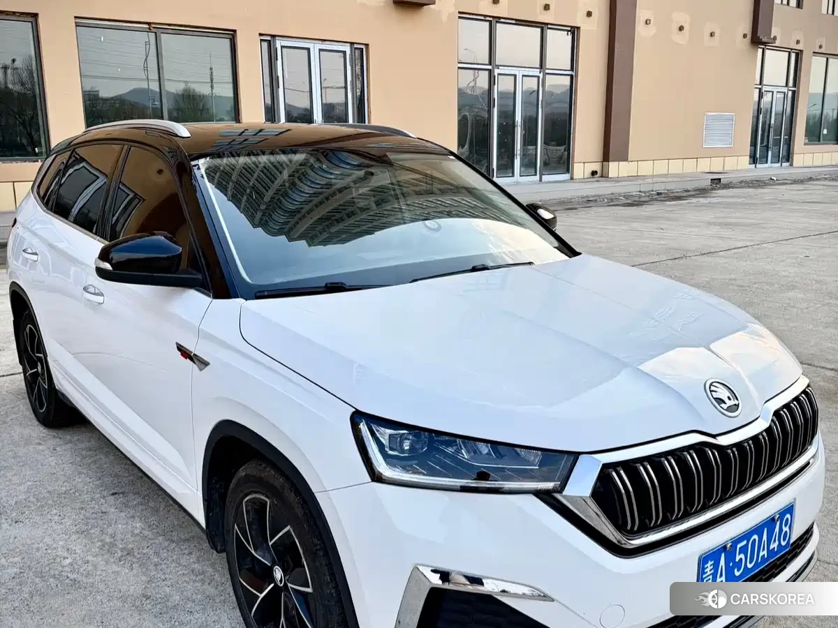 Skoda Komick id 4578181 из Китая 14