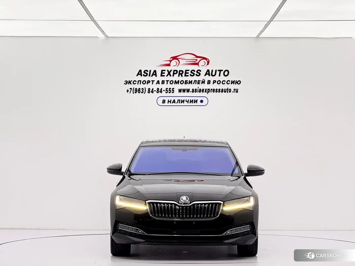 Skoda Speed pie id 4548244 из Китая 14