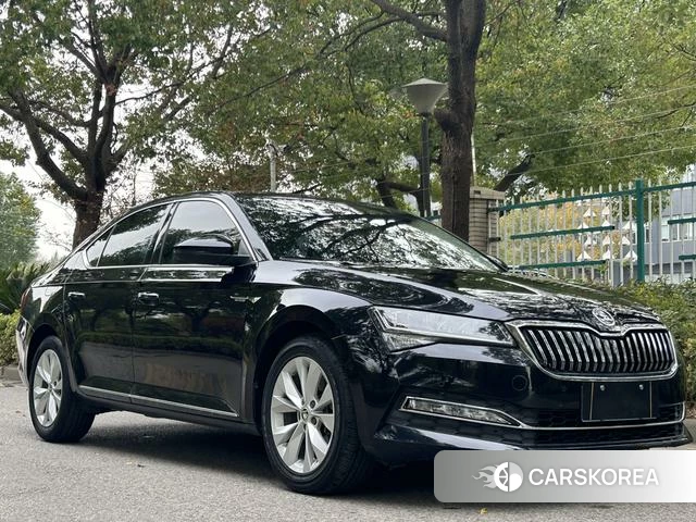 Skoda Speed pie id 4221421 из Китая 14