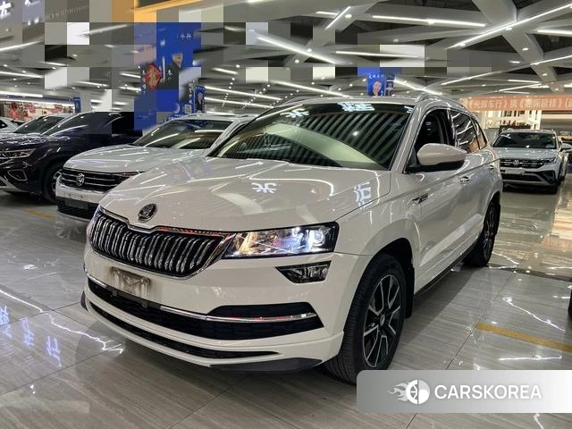 Skoda Krok id 4392335 из Китая 14