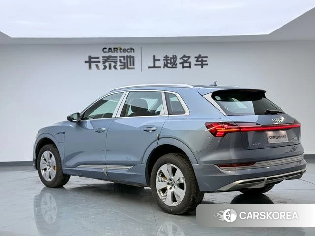 Audi e-tron id 4272349 из Китая 14