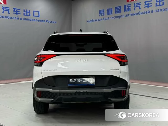 Kia Lion Platinum expands the world id 4209049 из Китая 14
