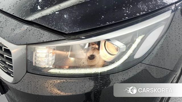 Kia The New Carnival id 4563140 из Кореи 14