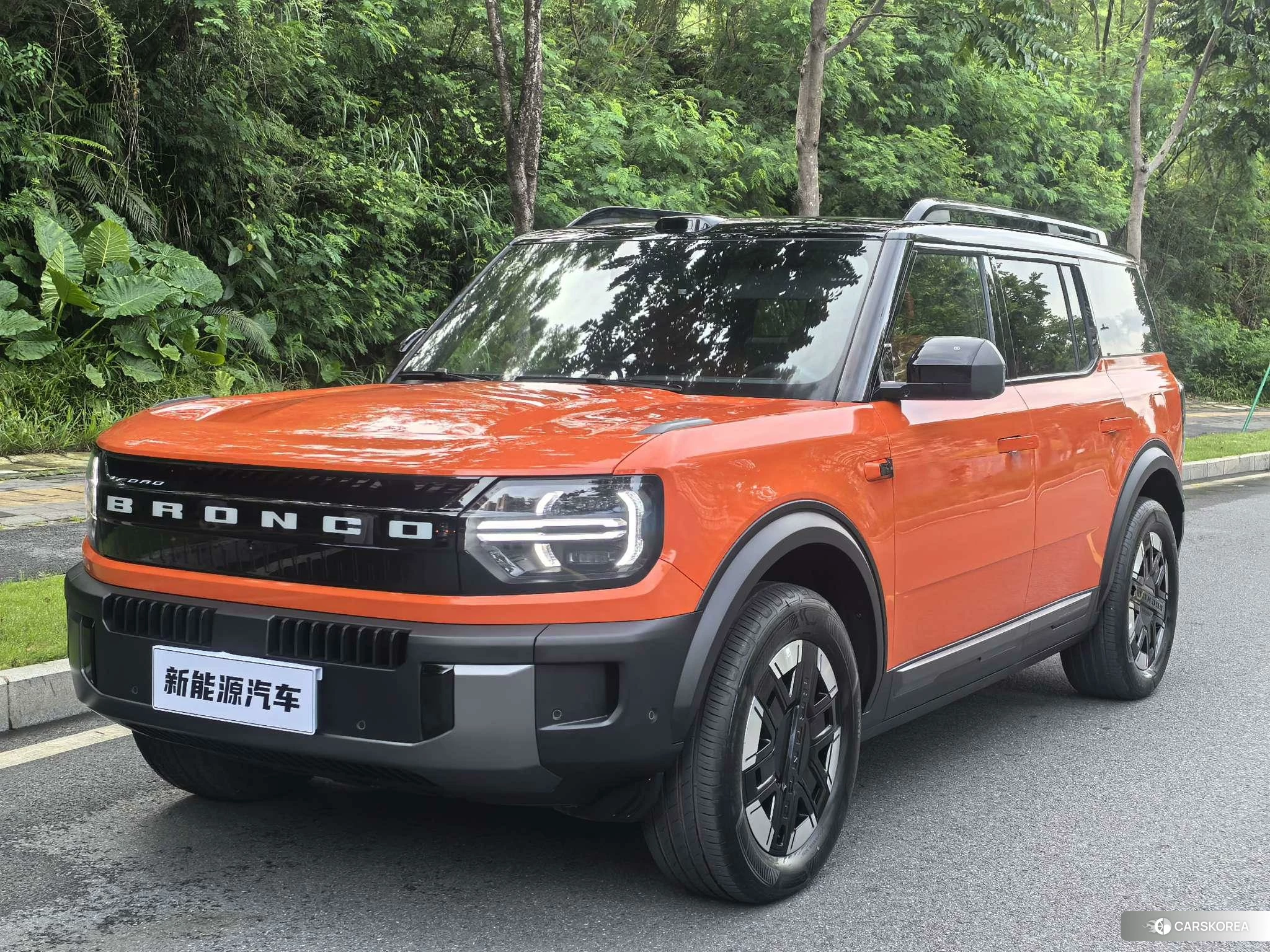 Ford Zhiqu Lie Ma id 4485529 из Китая 14