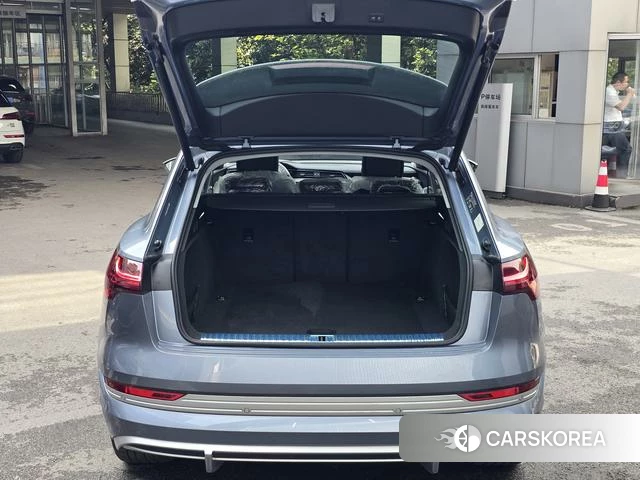 Audi e-tron id 4253714 из Китая 14