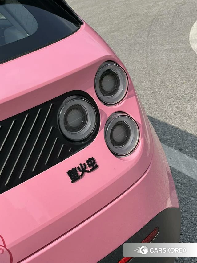 firefly firefly Unknown id 3993377 из Китая 14