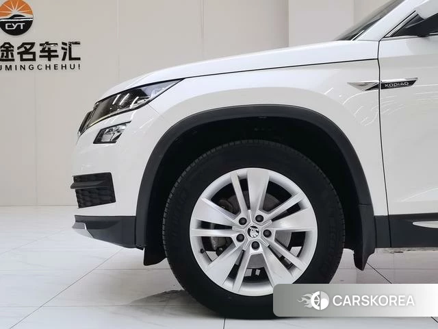 Skoda Kodiak id 4209430 из Китая 14