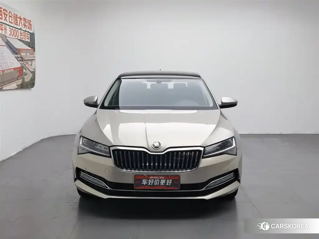 Skoda Speed pie id 4547467 из Китая 14