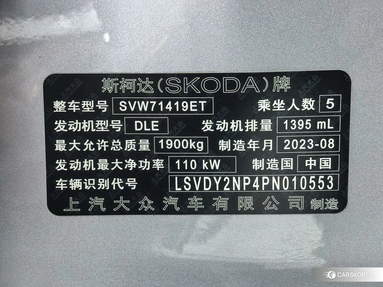 Skoda Speed pie id 4452178 из Китая 14