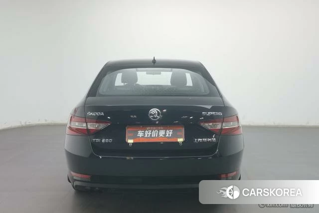 Skoda Speed pie id 4210065 из Китая 14