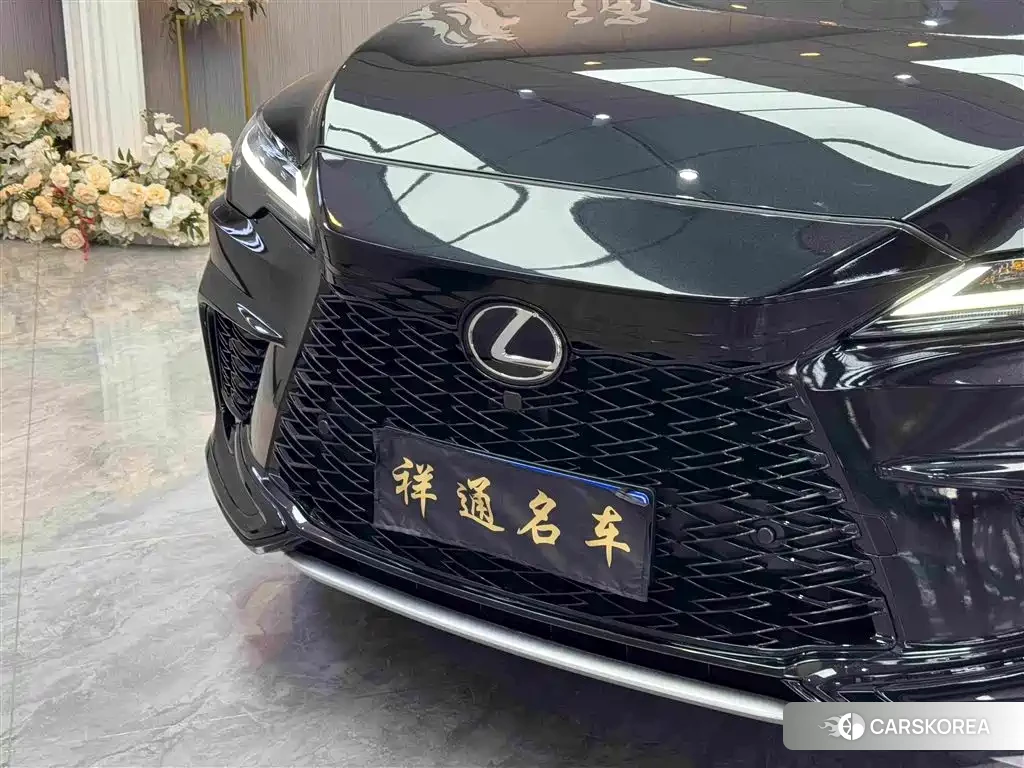 Lexus RX id 4559793 из Китая 14
