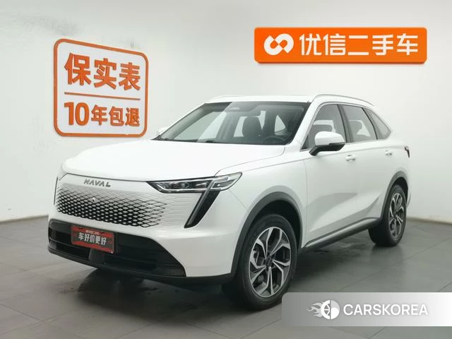 Haval Xiaolong MAX id 4210175 из Китая 14