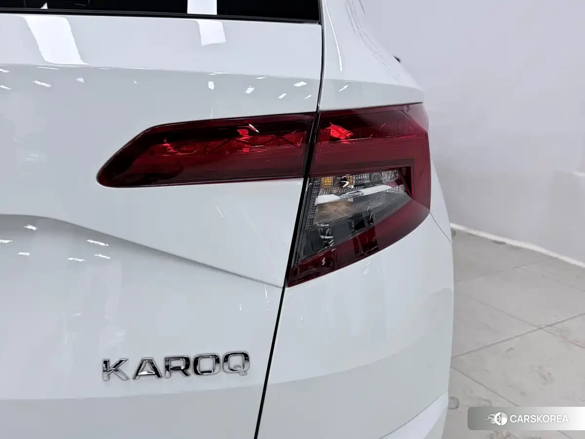 Skoda Krok id 4539010 из Китая 14