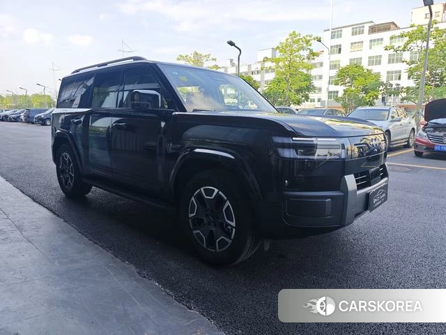 Leopard Titanium 7 PHEV id 3983184 из Китая 14