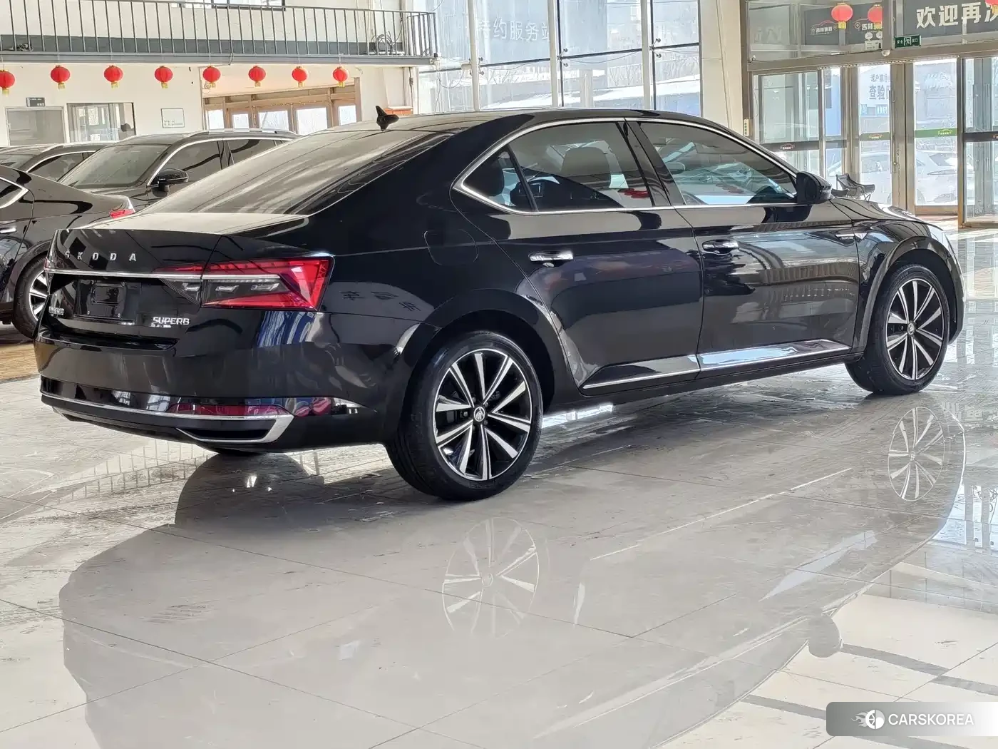 Skoda Speed pie id 4547484 из Китая 14