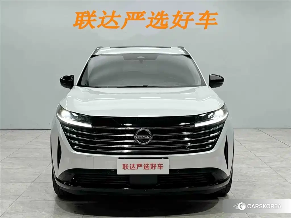 Nissan Exploring the land id 4515313 из Китая 14