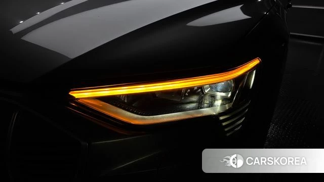 Audi e-Tron id 4625582 из Кореи 14