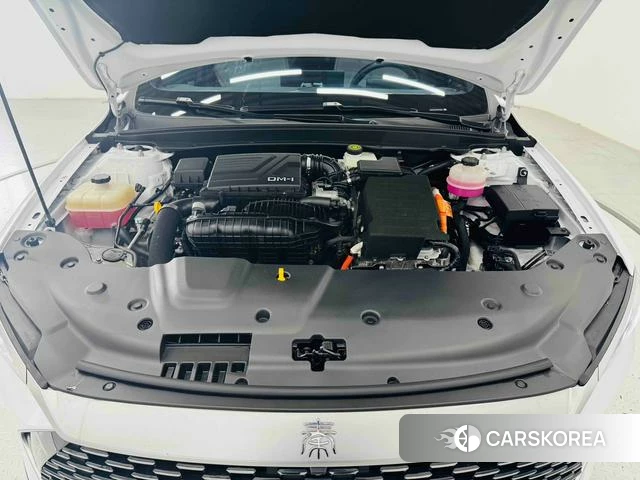 BYD Qin PLUS DM id 4235928 из Китая 14
