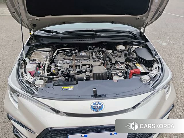 Toyota Lei Ling id 4300446 из Китая 14