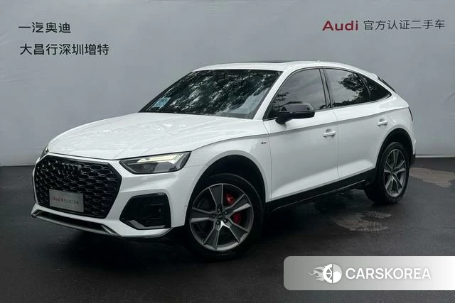 Audi Q5L Sportback id 4349027 из Китая 15