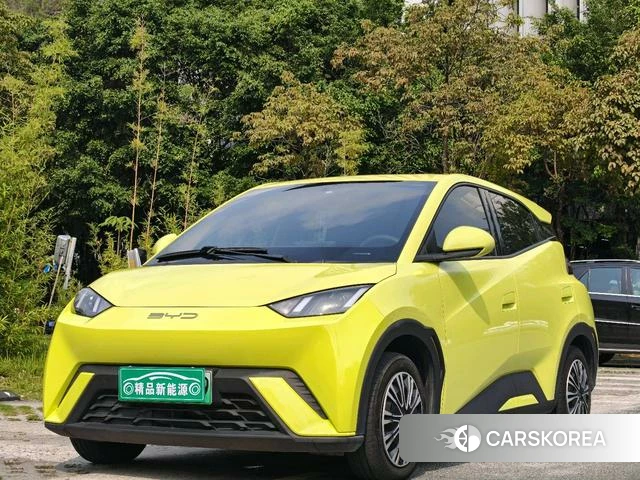 BYD Seagull id 4235637 из Китая 15