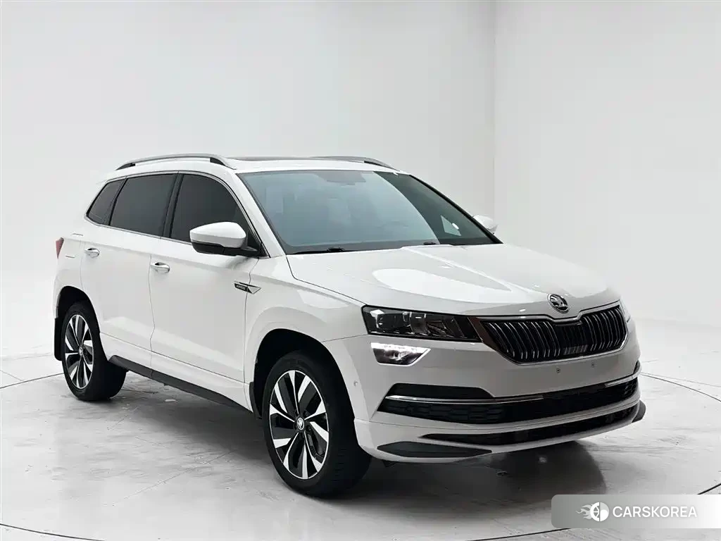 Skoda Karoq id 4628183 из Китая 15