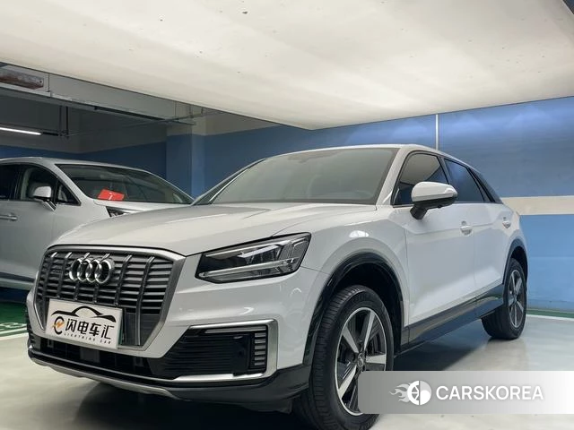 Audi Q2L e-tron id 4374526 из Китая 15