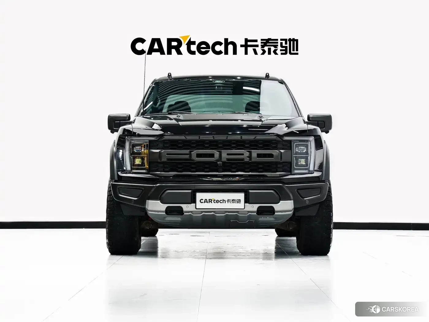 Ford F-150 id 4601722 из Китая 15
