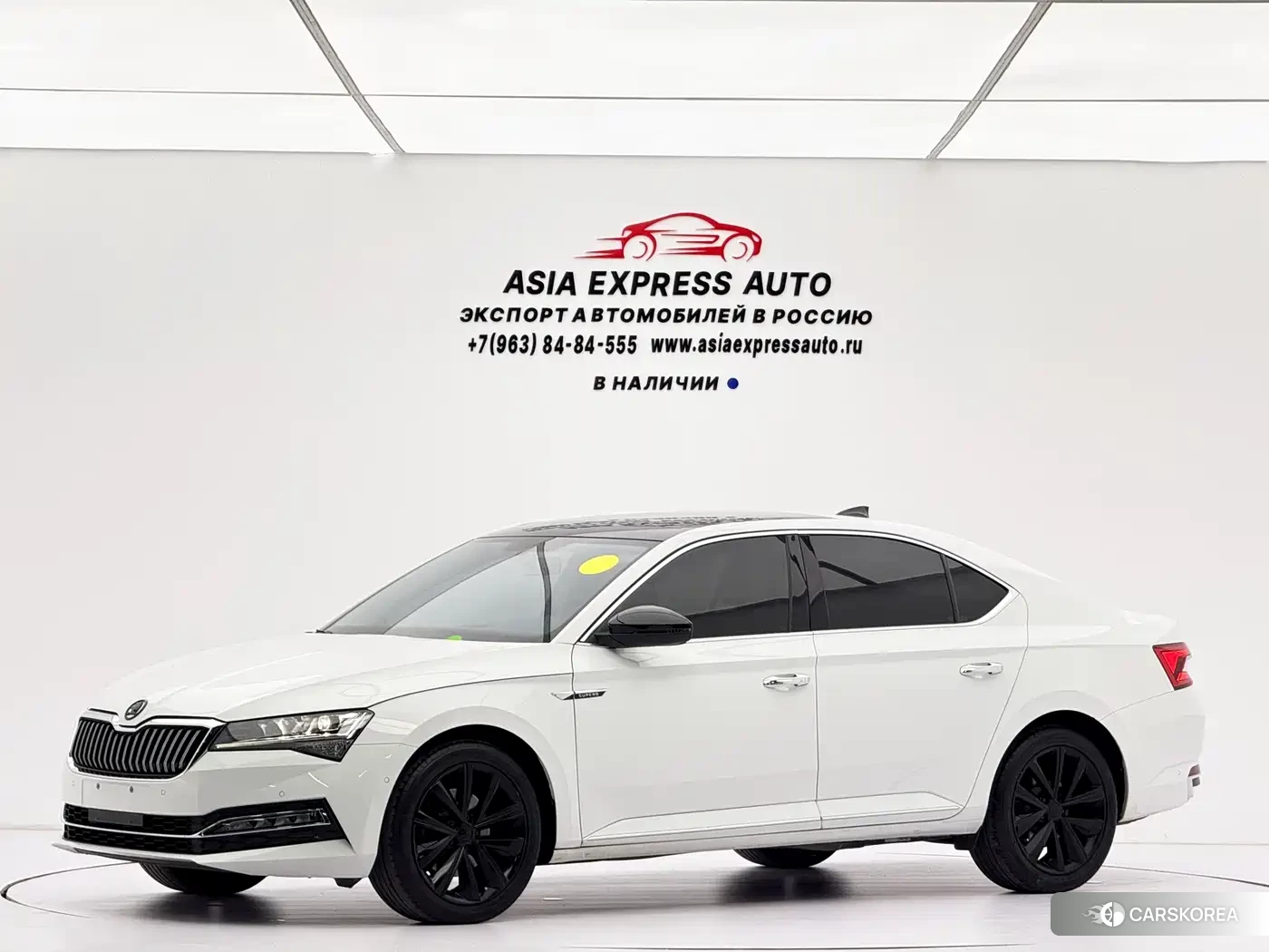 Skoda Speed pie id 4538816 из Китая 15