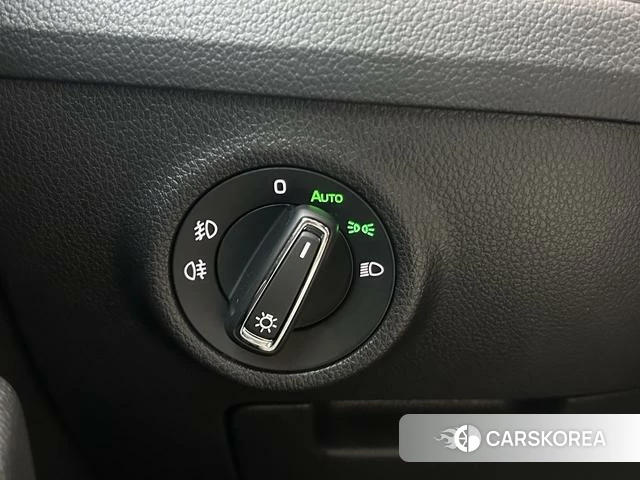 Skoda Speed pie id 4221421 из Китая 15