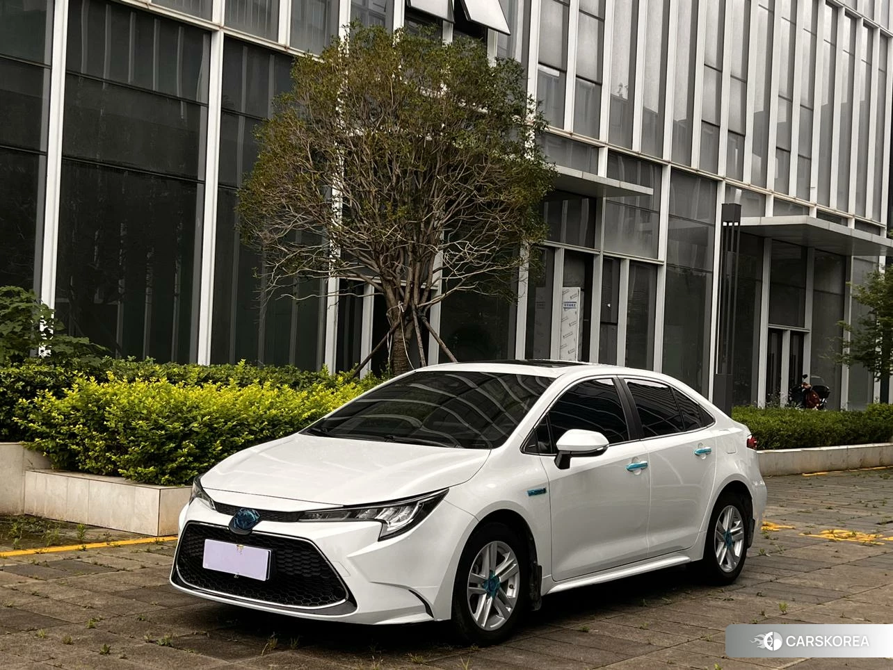 Toyota Levin id 4510881 из Китая 15