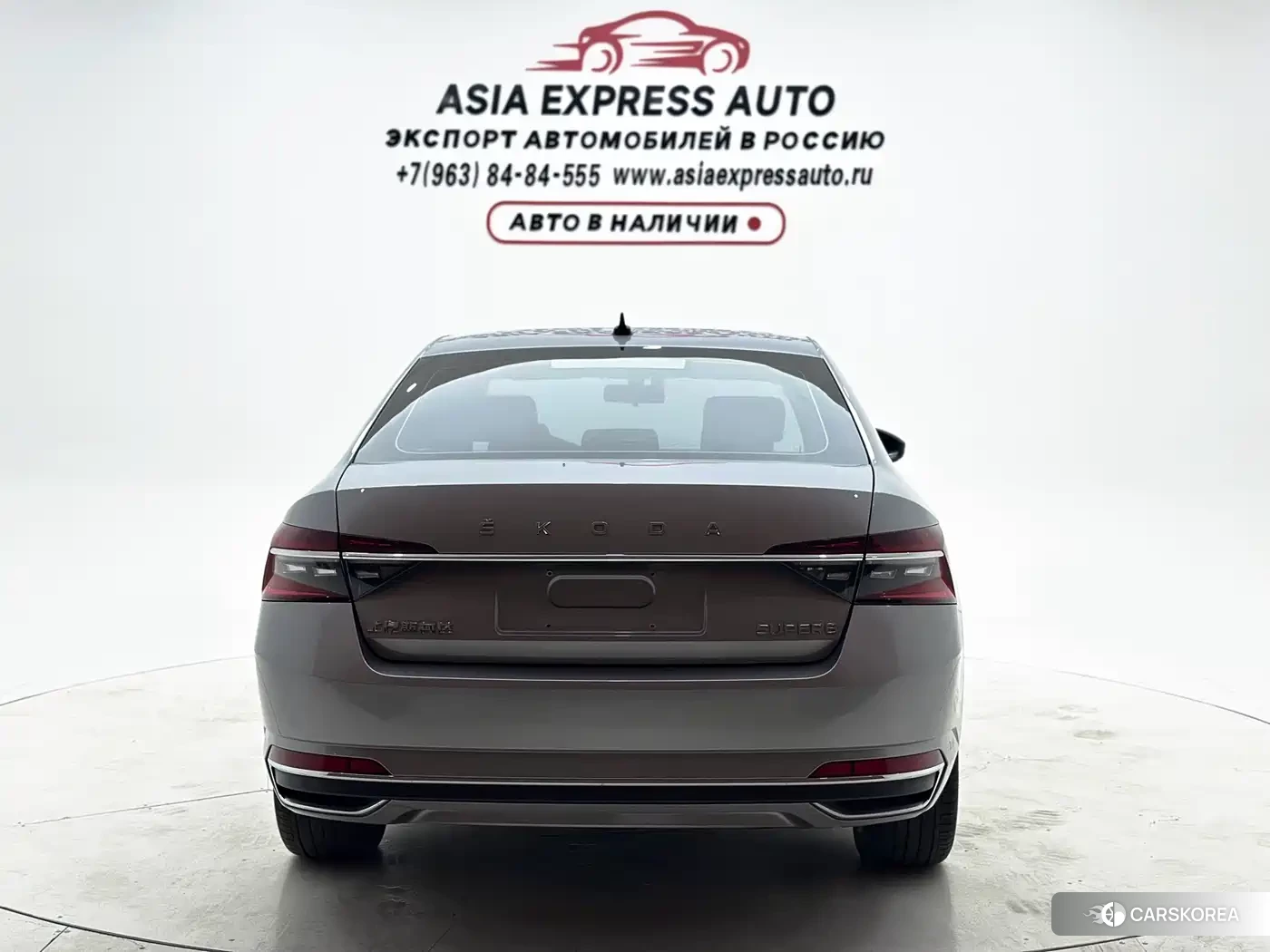 Skoda Speed pie id 4546413 из Китая 15