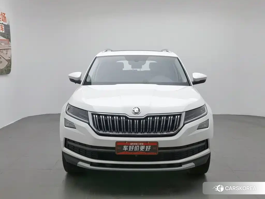 Skoda Kodiaq id 4600815 из Китая 15
