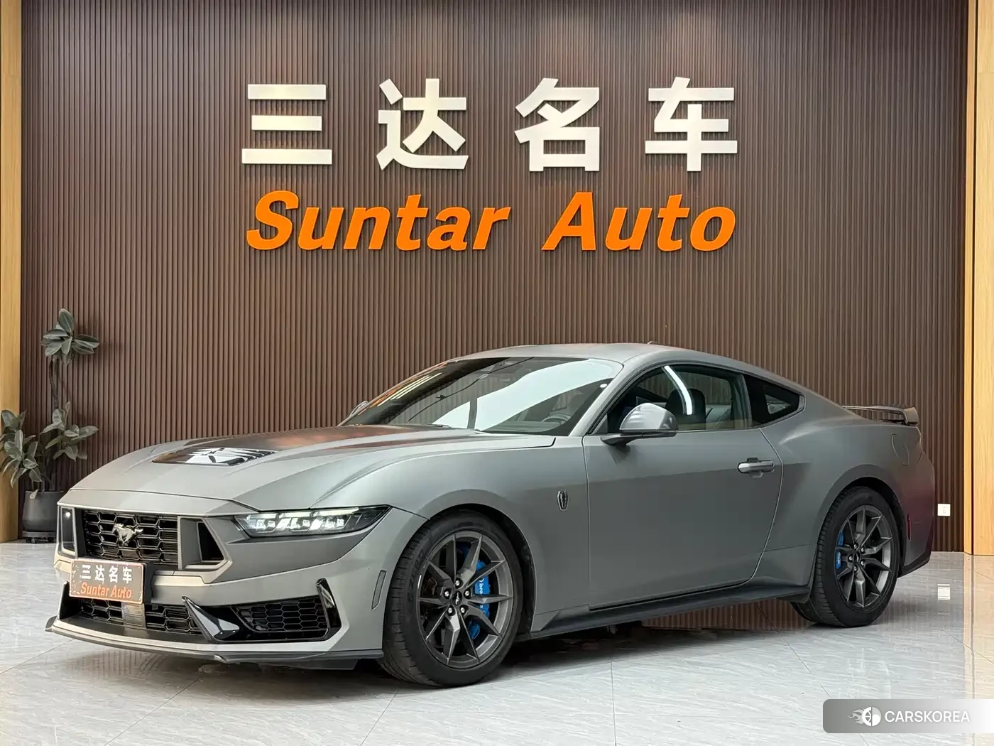 Ford Mustang id 4514398 из Китая 15