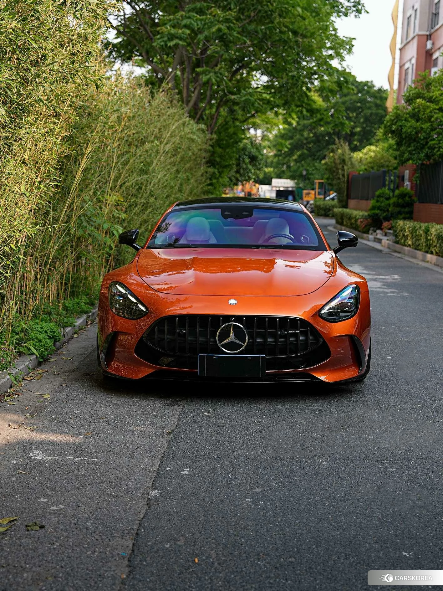 Mercedes-Benz AMG GT PHEV id 4454204 из Китая 15