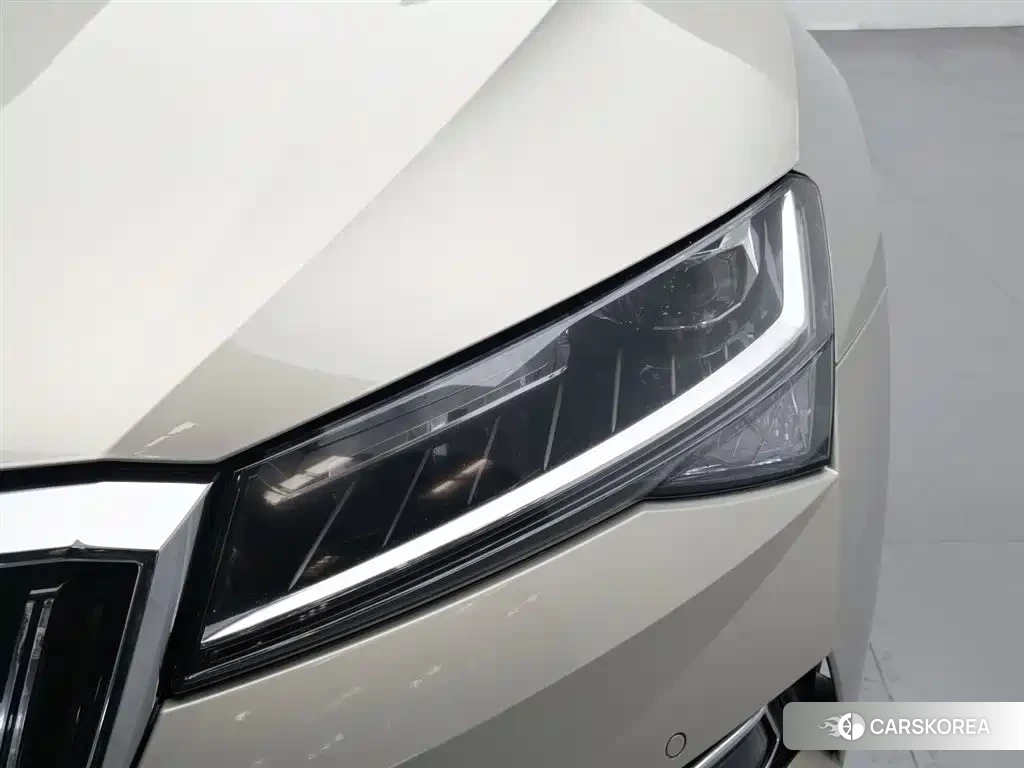 Skoda Speed pie id 4547467 из Китая 15