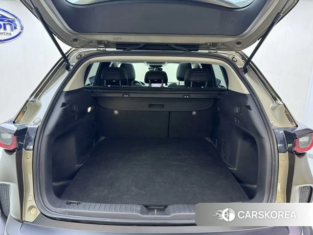 Mazda CX-50 line also id 4276671 из Китая 15