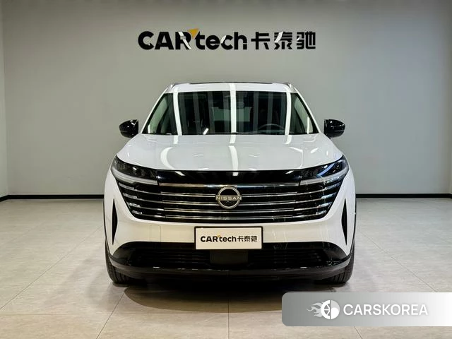 Nissan Exploring the land id 3896018 из Китая 15