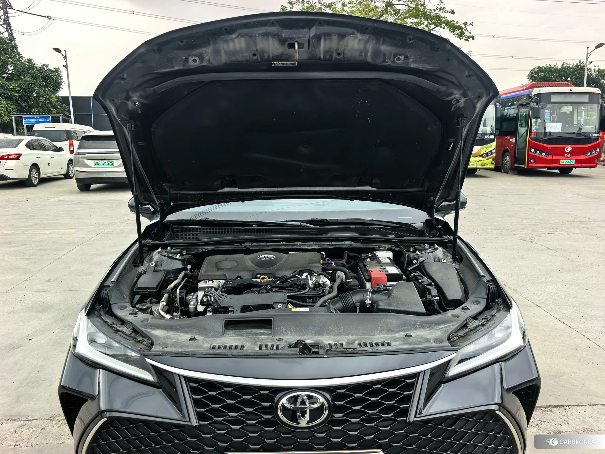 Toyota Asian dragon id 4454742 из Китая 15